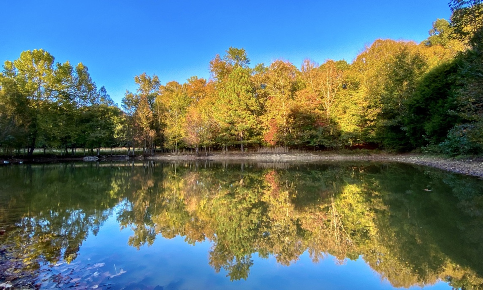 Pond & Canoeing